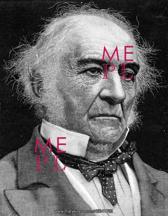 : William Ewart Gladstone : William Ewart Gladstone