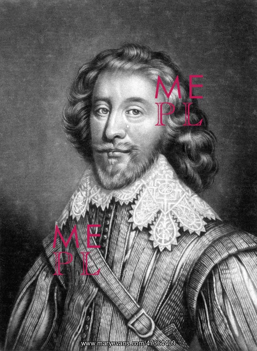 : WILLIAM FEILDING DENBIGH : WILLIAM FEILDING DENBIGH