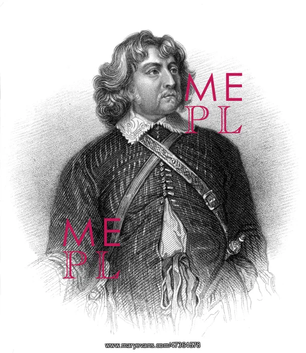 : WILLIAM FEILDING DENBIGH : WILLIAM FEILDING DENBIGH