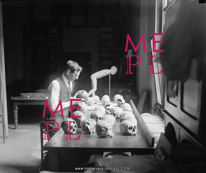 : William H. Egberts (1868- 1959) at the Smithsonian's ? : William H. Egberts (1868- 1959) at the Smithsonian's ?
