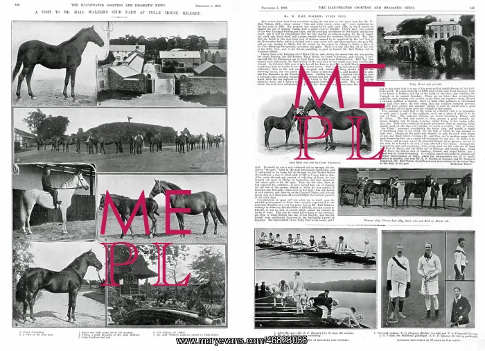 : William Hall Walker's stud farm at Tully House : William Hall Walker's stud farm at Tully House