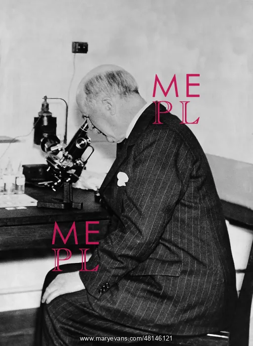 : William Henry Bragg at the microscope, 1936 : William Henry Bragg at the microscope, 1936