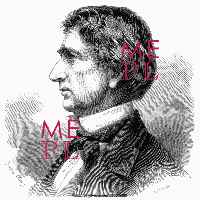 : WILLIAM HENRY SEWARD : WILLIAM HENRY SEWARD