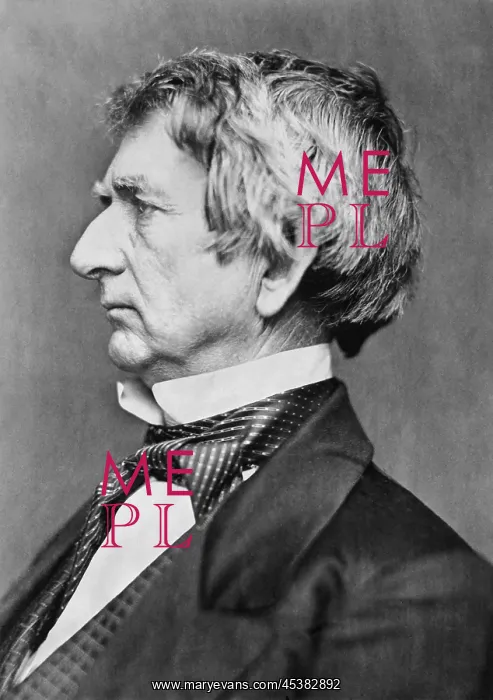 : William Henry Seward as Secretary of State : William Henry Seward as Secretary of State