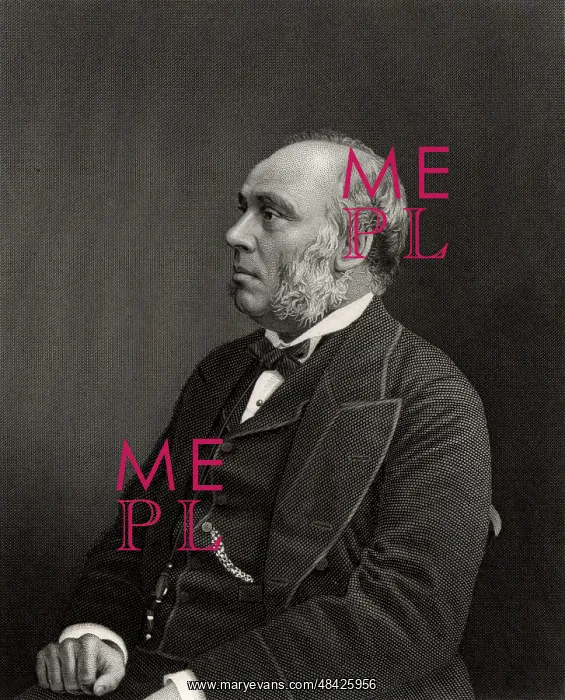 : William Henry Smith (1825-1891), English businessman : William Henry Smith (1825-1891), English businessman