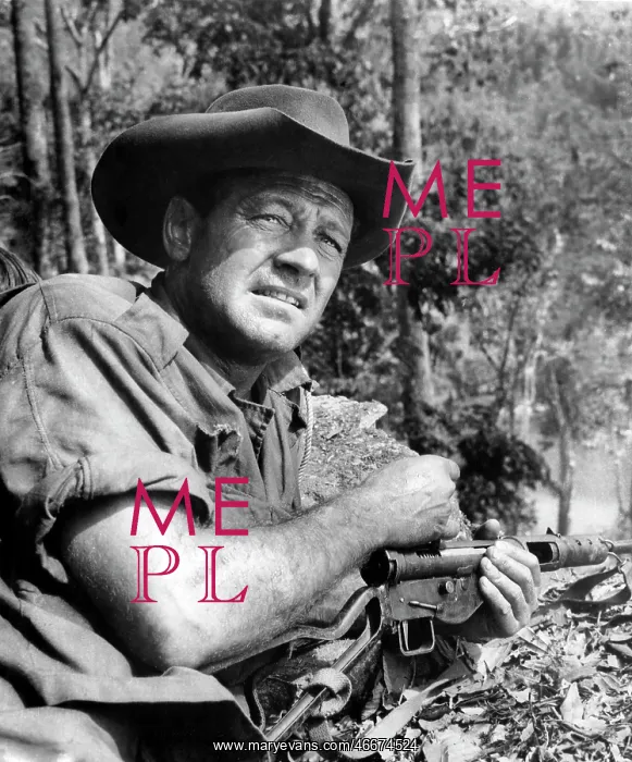 : William Holden - Actor - Celebrity - Historical : William Holden - Actor - Celebrity - Historical