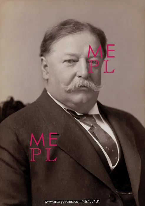 : William Howard Taft - President - Government : William Howard Taft - President - Government