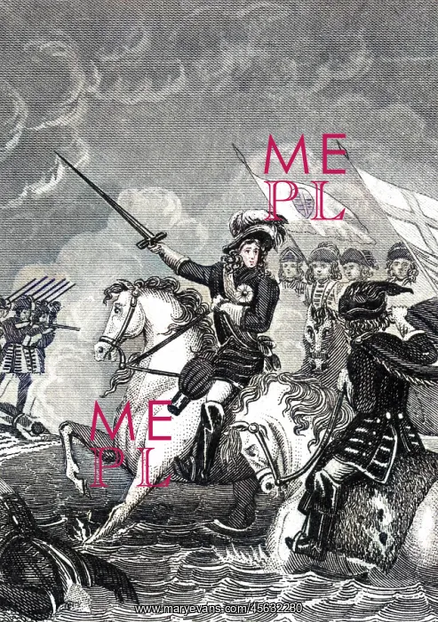 : William III at the Battle of the Boyne, Ireland : William III at the Battle of the Boyne, Ireland
