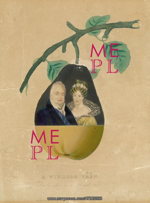 : William IV A Windsor Pear : William IV A Windsor Pear