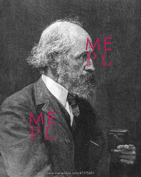 : WILLIAM JAMES STILLMAN : WILLIAM JAMES STILLMAN
