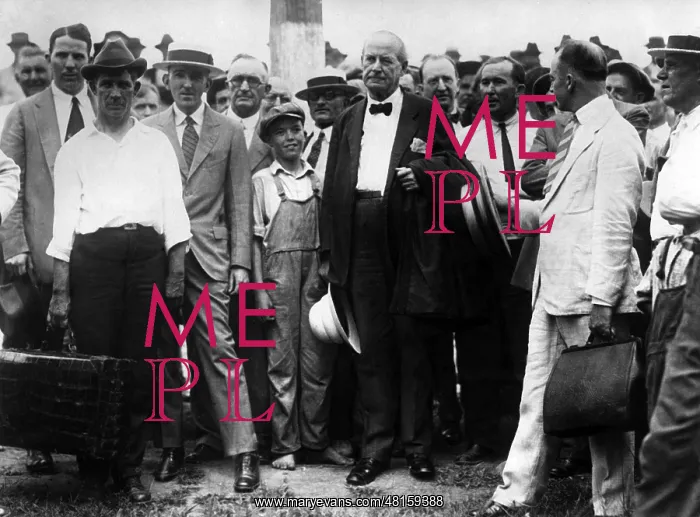 : William Jennings Bryan : William Jennings Bryan