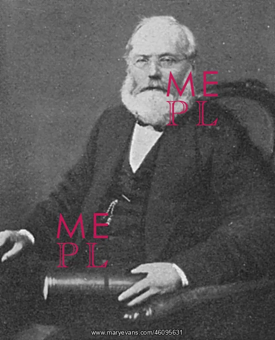 : William Low : William Low