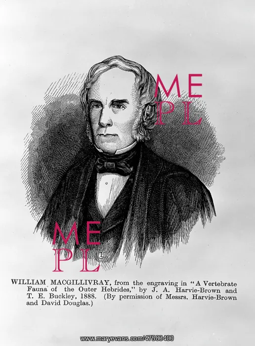 : William MacGillivray (1796-1851) : William MacGillivray (1796-1851)