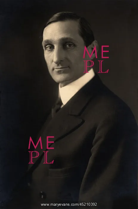: William McAdoo (1863-1941), as President ? : William McAdoo (1863-1941), as President ?