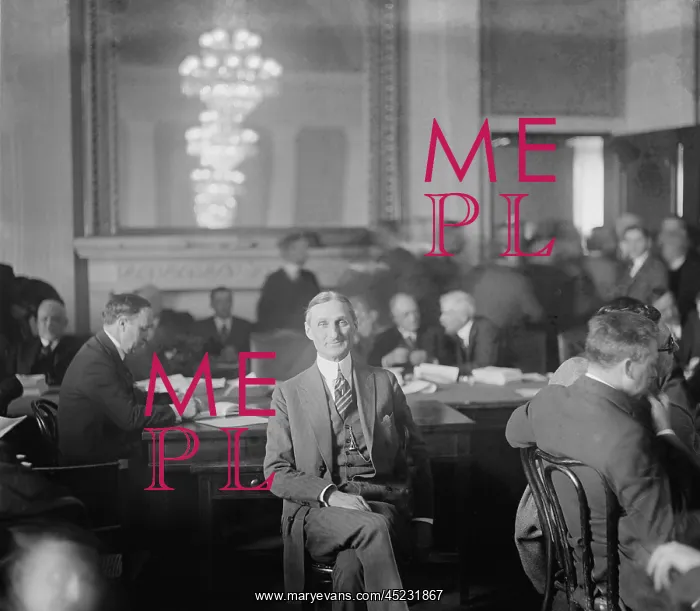 : William McAdoo worked in his law firm after ? : William McAdoo worked in his law firm after ?