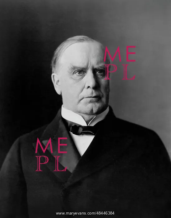: William McKinley portrait, circa 1900 : William McKinley portrait, circa 1900