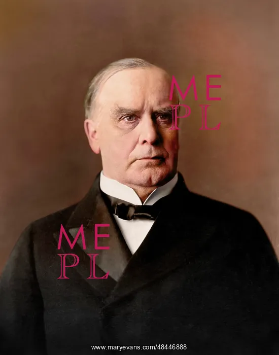 : William McKinley portrait, circa 1900 : William McKinley portrait, circa 1900