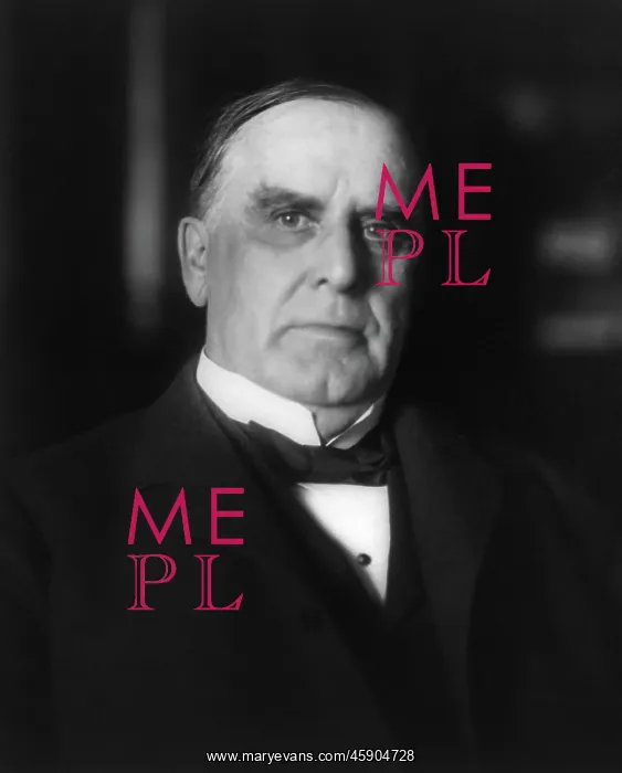: William McKinley - President : William McKinley - President