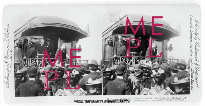 : William McKinley - President : William McKinley - President