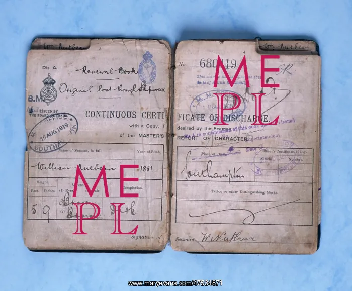 : William Nutbean, Certificate of Discharge : William Nutbean, Certificate of Discharge
