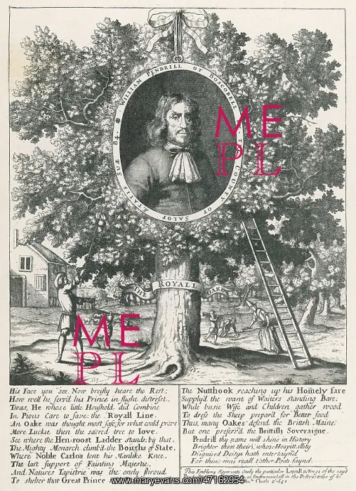 : William Pendrill & the Boscobel Oak : William Pendrill & the Boscobel Oak