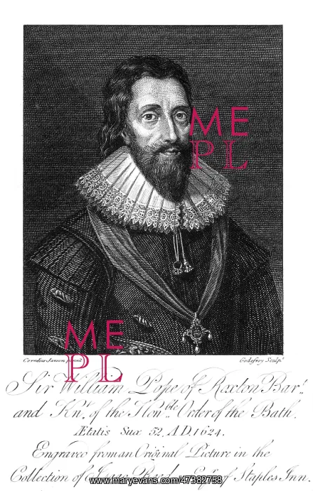 : WILLIAM POPE DOWNE : WILLIAM POPE DOWNE