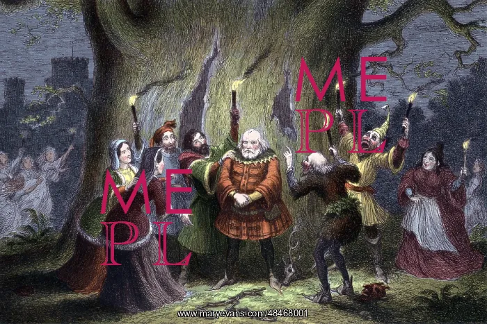 : William Shakespeare The Merry Wives of Windsor : William Shakespeare The Merry Wives of Windsor