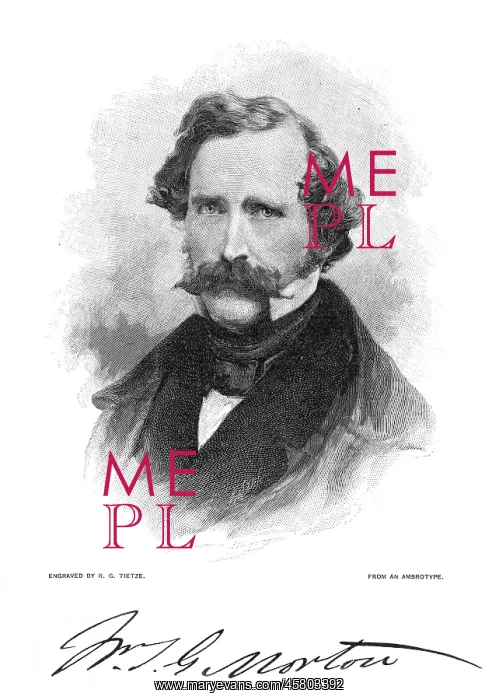 : WILLIAM THOMAS MORTON : WILLIAM THOMAS MORTON