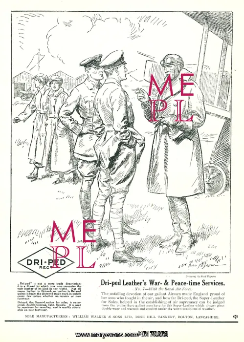 : William Walker and Sons Dri-Ped Advertisement : William Walker and Sons Dri-Ped Advertisement