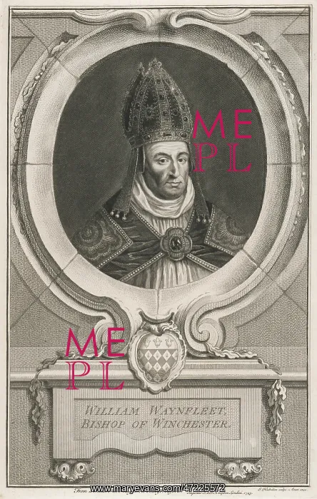 : WILLIAM WAYNFLEET : WILLIAM WAYNFLEET