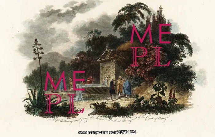 : William Withering at Caldas da Rainha, 1794 : William Withering at Caldas da Rainha, 1794