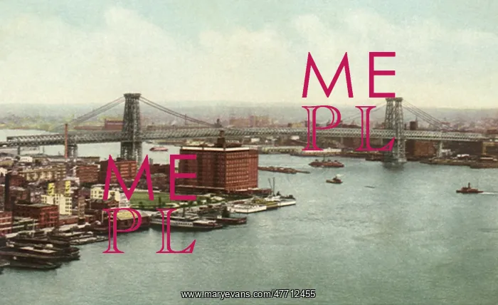  : Williamsburg Bridge. Brooklyn