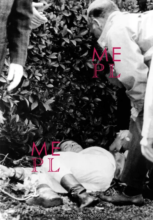 : Willie Shoemaker after being thrown from ? : Willie Shoemaker after being thrown from ?