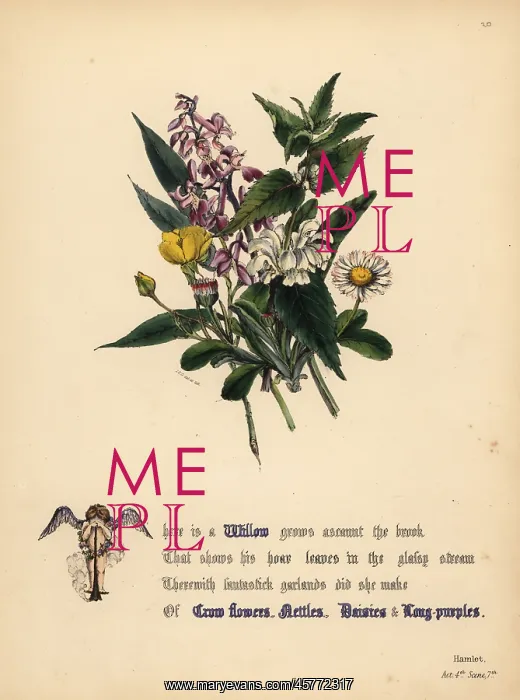 : Willow, Crow flowers, Nettles, Daisies, and : Willow, Crow flowers, Nettles, Daisies, and