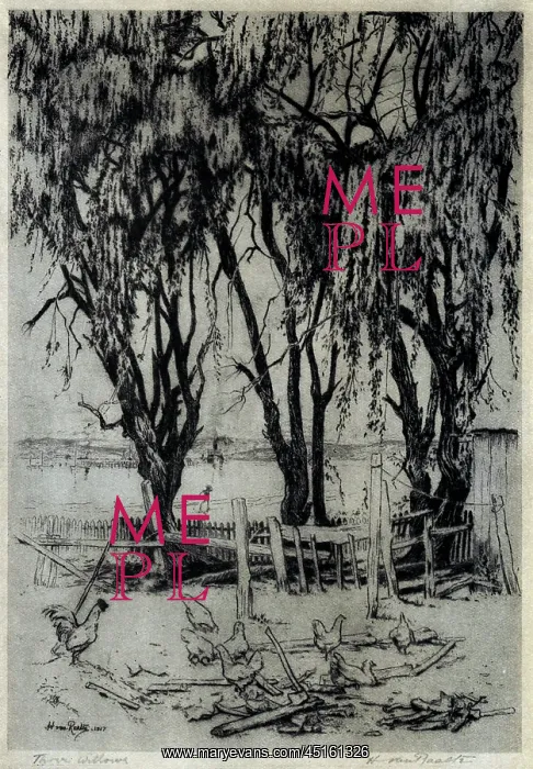 : Three Willows : Three Willows