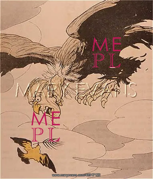 : WILSON AS A VULTURE : WILSON AS A VULTURE