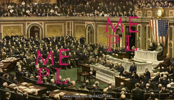 : Wilson's Speech : Wilson's Speech