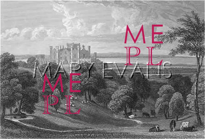  : WILTON CASTLE, YORKSHIRE