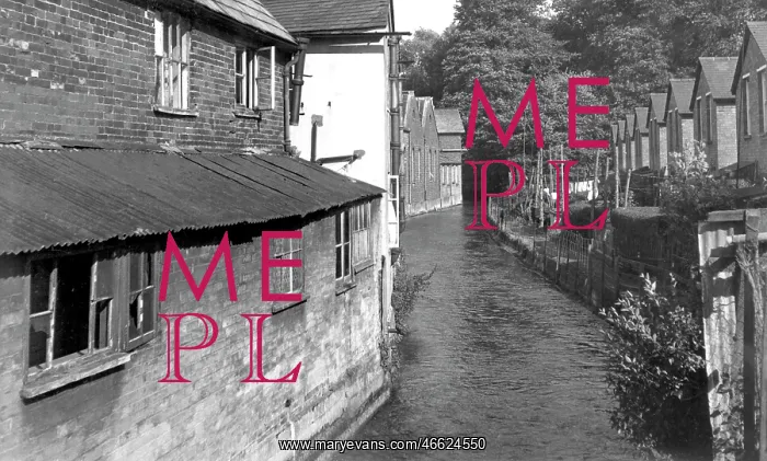  : Wilton, River Wylye c1955