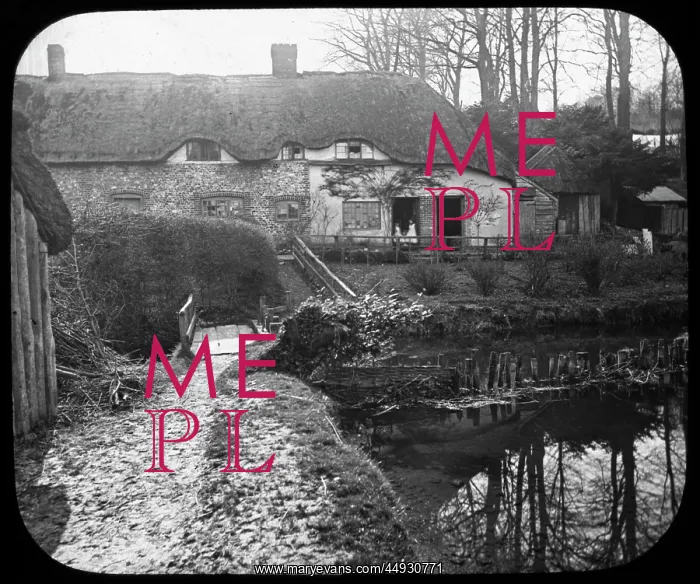 : (On the Wiltshire Avon : (On the Wiltshire Avon