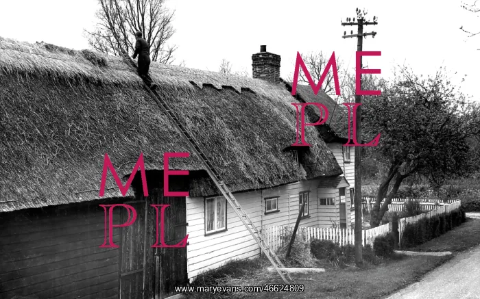  : Wimbish, Aldridge's Cottage c1960