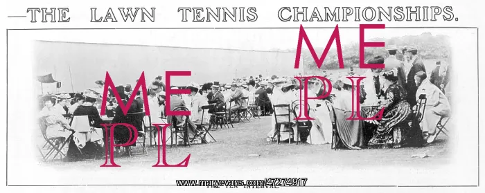 : Wimbledon Tea Interval : Wimbledon Tea Interval