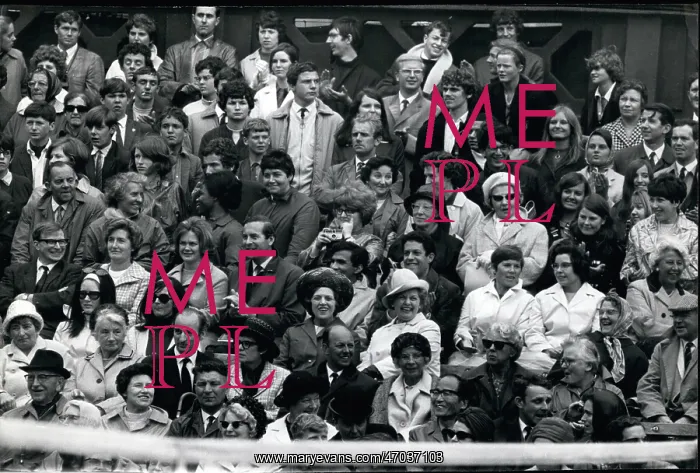 : Wimbledon tennis spectators : Wimbledon tennis spectators