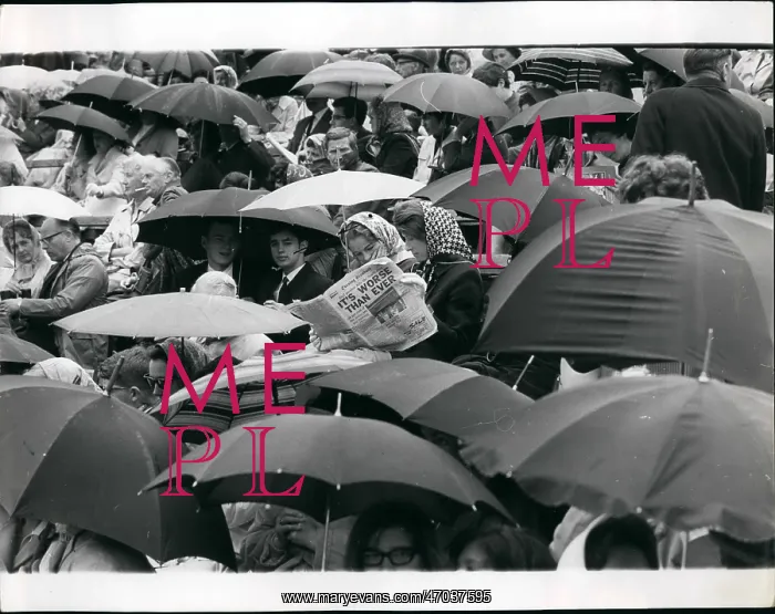 : Wimbledon tennis spectators with umbrellas : Wimbledon tennis spectators with umbrellas