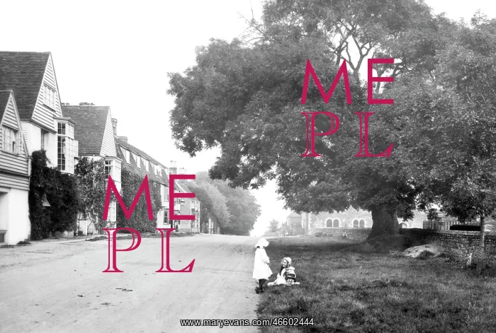  : Winchelsea, Wesley Tree 1912