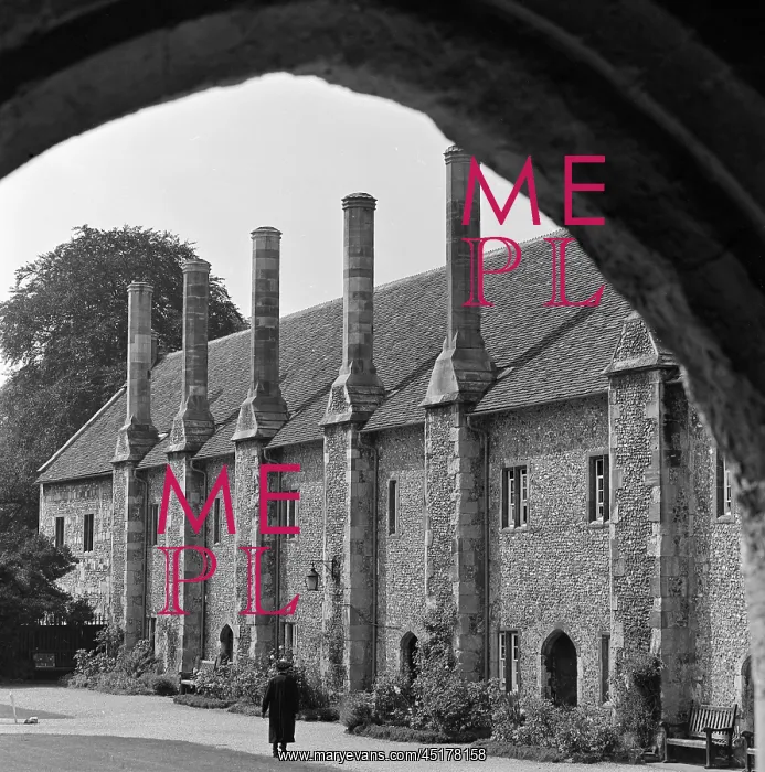 : Winchester : Winchester