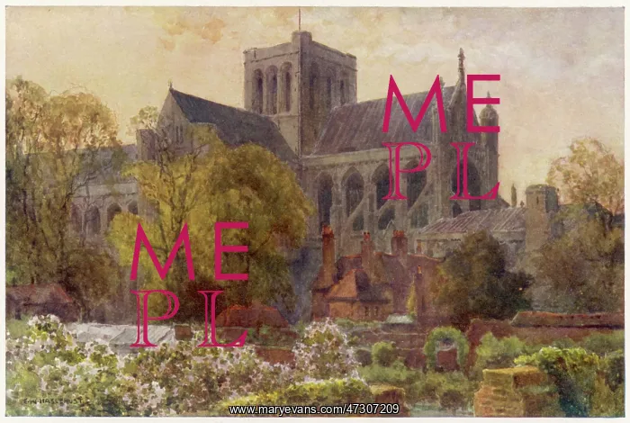 : WINCHESTER CATHEDRAL : WINCHESTER CATHEDRAL