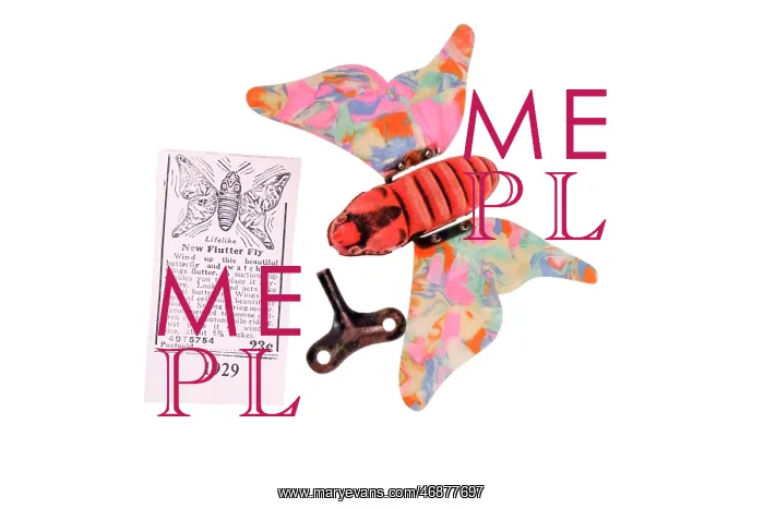 : Wind up butterfly with key and instruction leaflet : Wind up butterfly with key and instruction leaflet