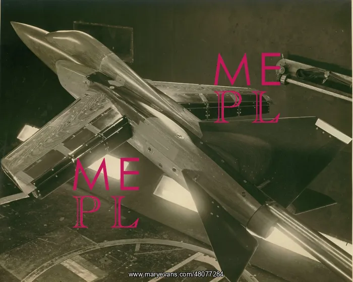: Wind-tunnel model of the BAC P45 : Wind-tunnel model of the BAC P45