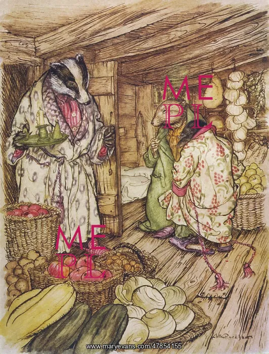 : Wind in the Willows : Wind in the Willows